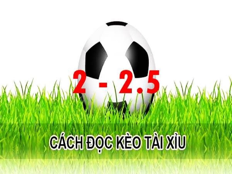 Hướng dẫn cách đọc kèo tài xỉu 2-2.5