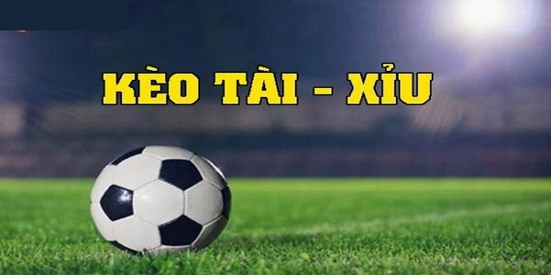 Chia sẻ kinh nghiệm soi kèo cược tài xỉu chắc thắng